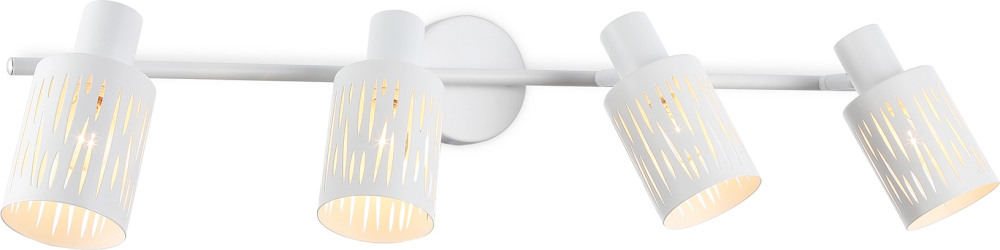 Ambrella Спот TRADITIONAL TR8666 