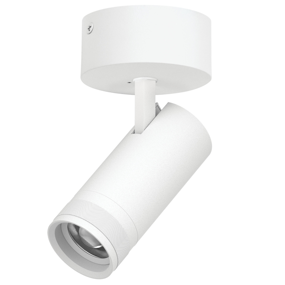 Lightstar Спот Canno Pro C4206SO 