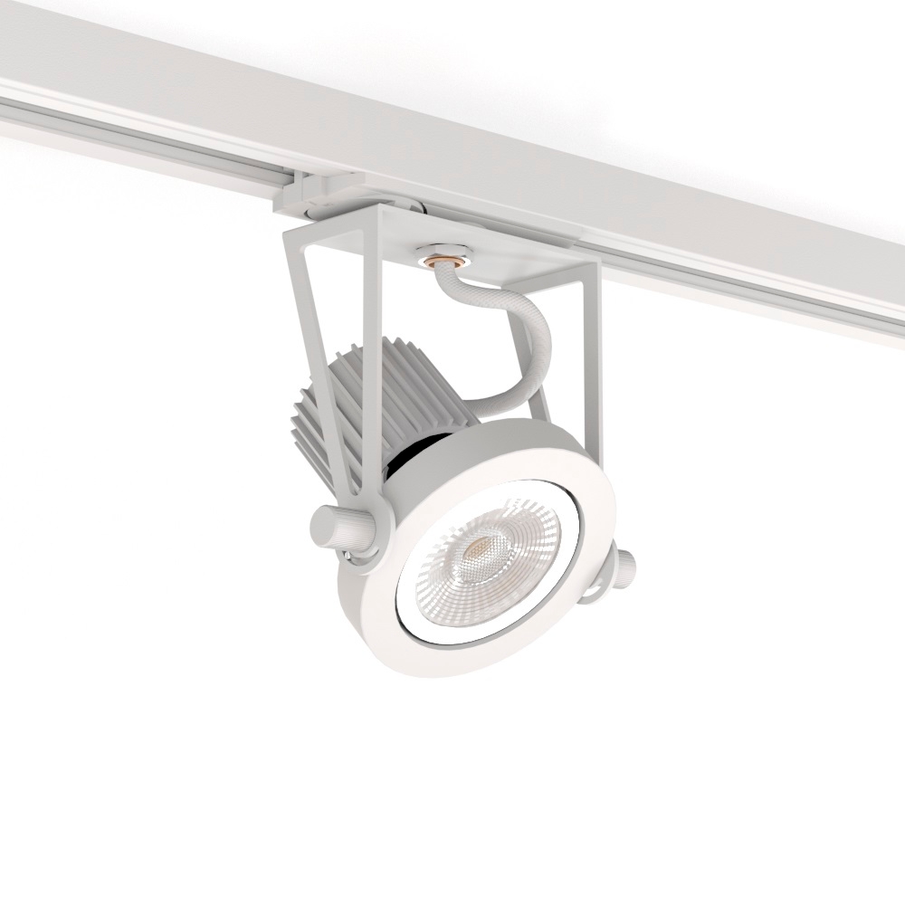 Raumberg Трековый светильник  8090Wh 