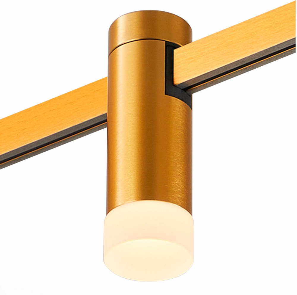 ST Luce Трековый светильник Farm ST812.246.03 