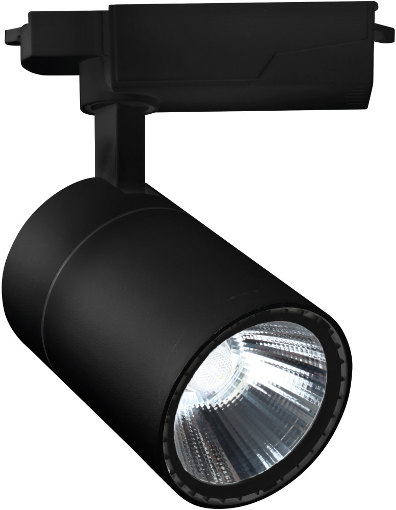 Escada Трековый светильник 20032 20032TRA/02LED SBK 