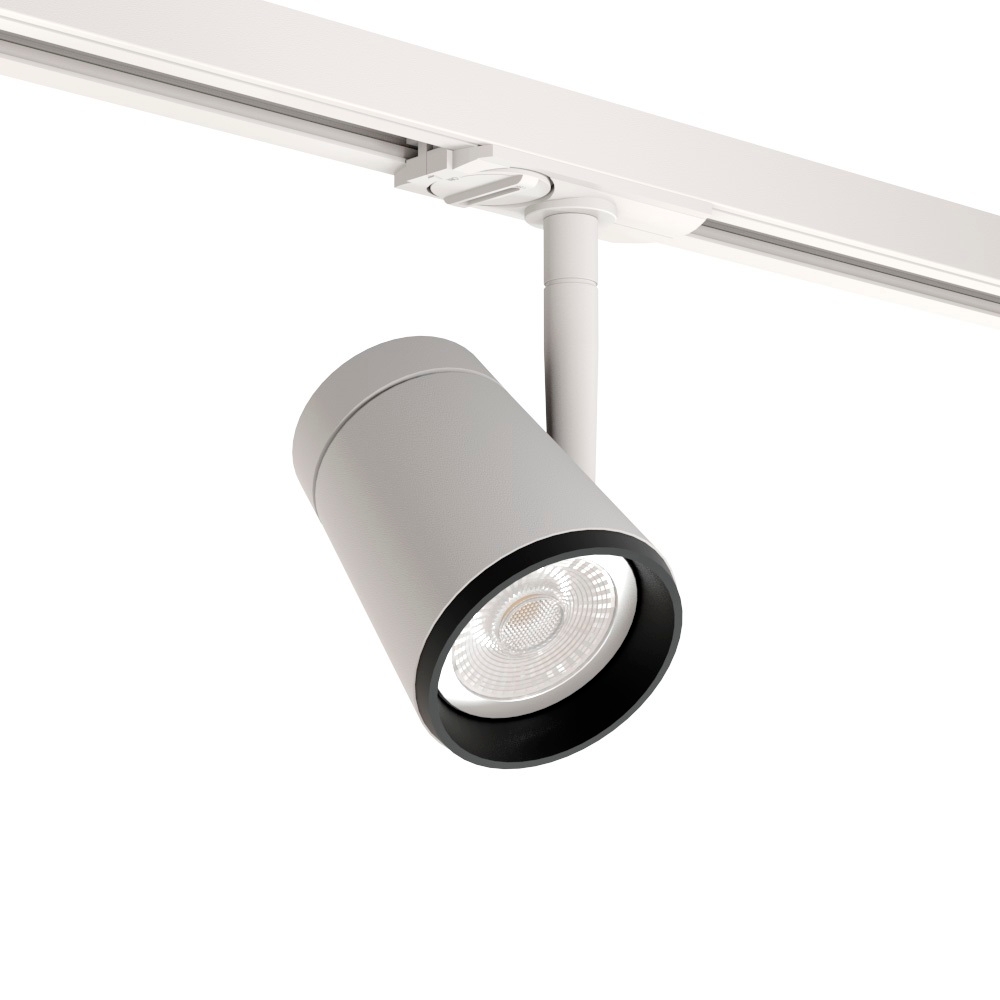 Raumberg Трековый светильник  8129Wh 
