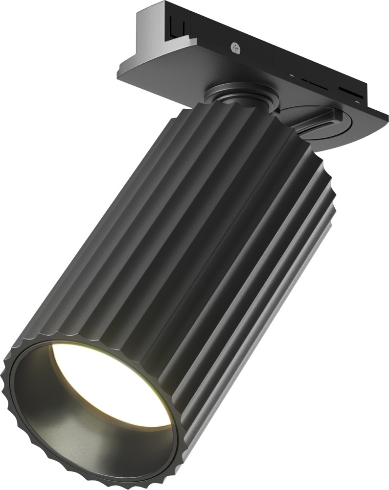 Maytoni Трековый светильник Calipso TR218-1-GU10-BK 