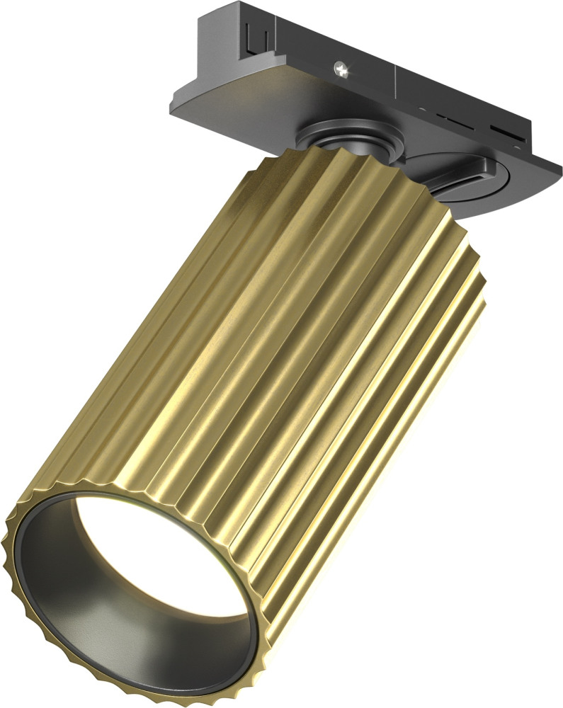 Maytoni Трековый светильник Calipso TR218-1-GU10-BS 