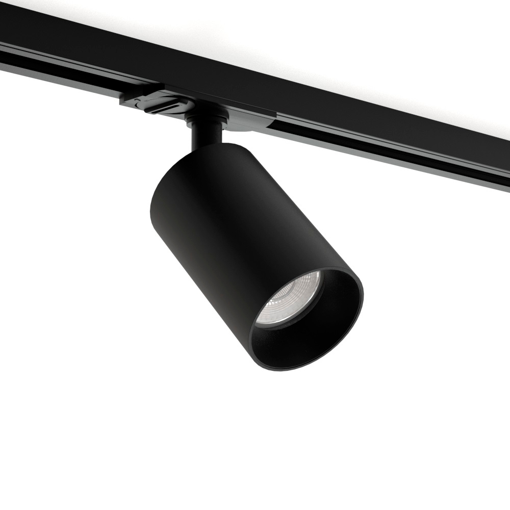 Raumberg Трековый светильник  R8150Bk 