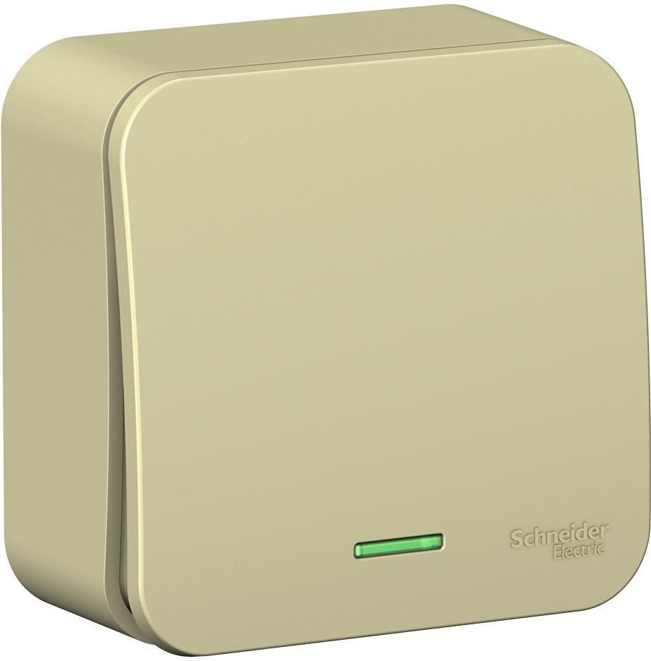 Systeme Electric Выключатель Blanca BLNVA101117 