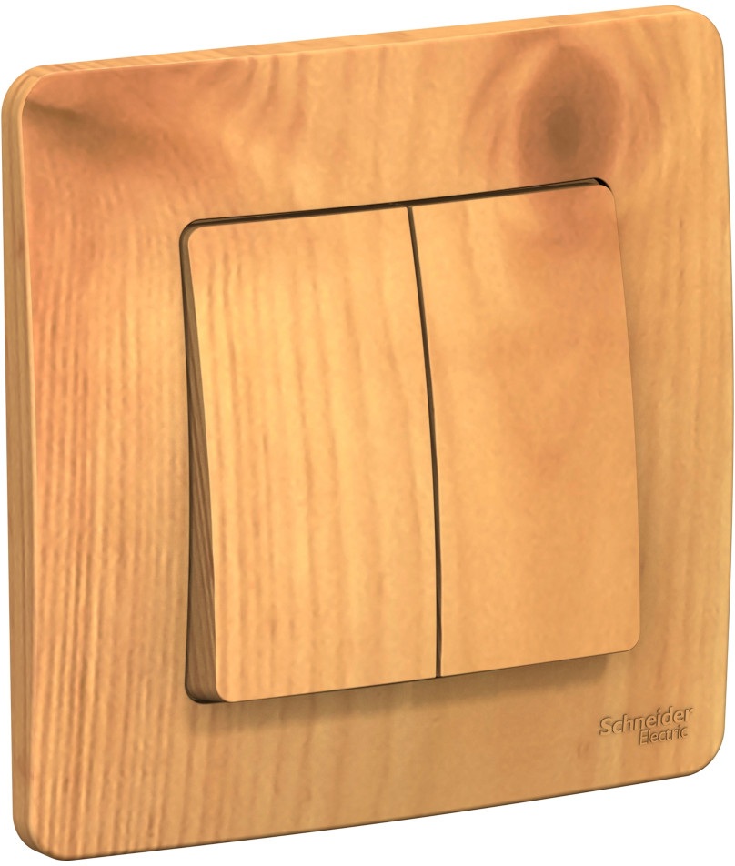 Systeme Electric Выключатель Blanca BLNVS010505 