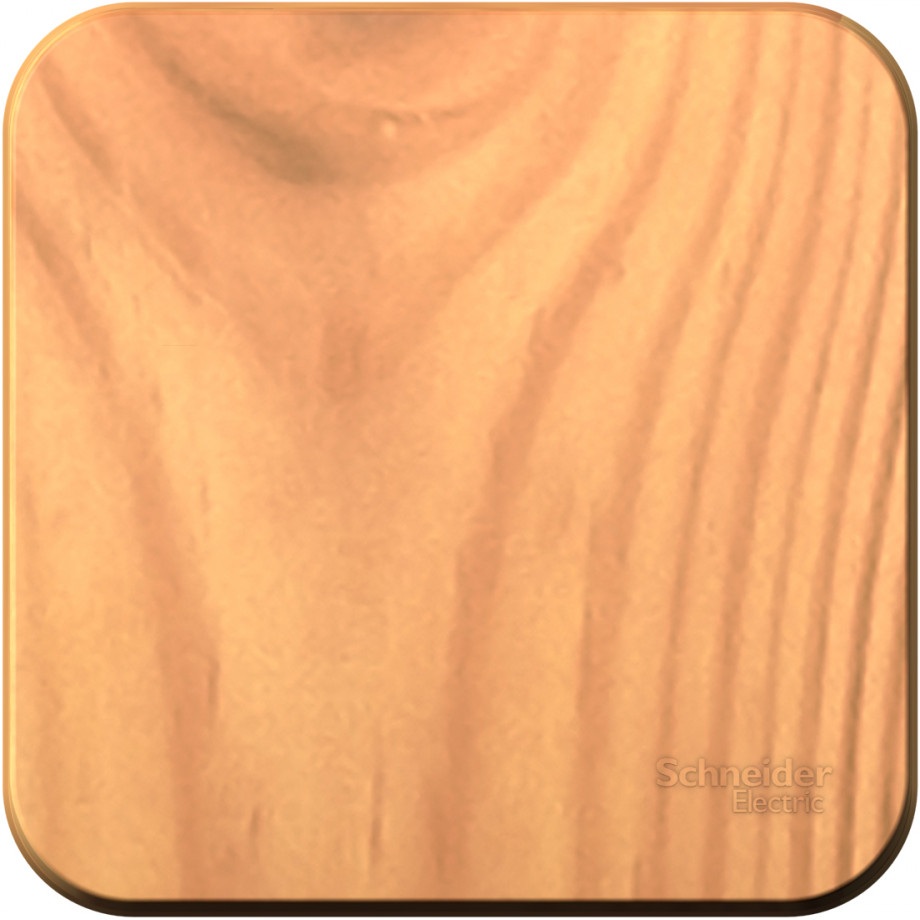 Systeme Electric Выключатель Blanca BLNCA101015 