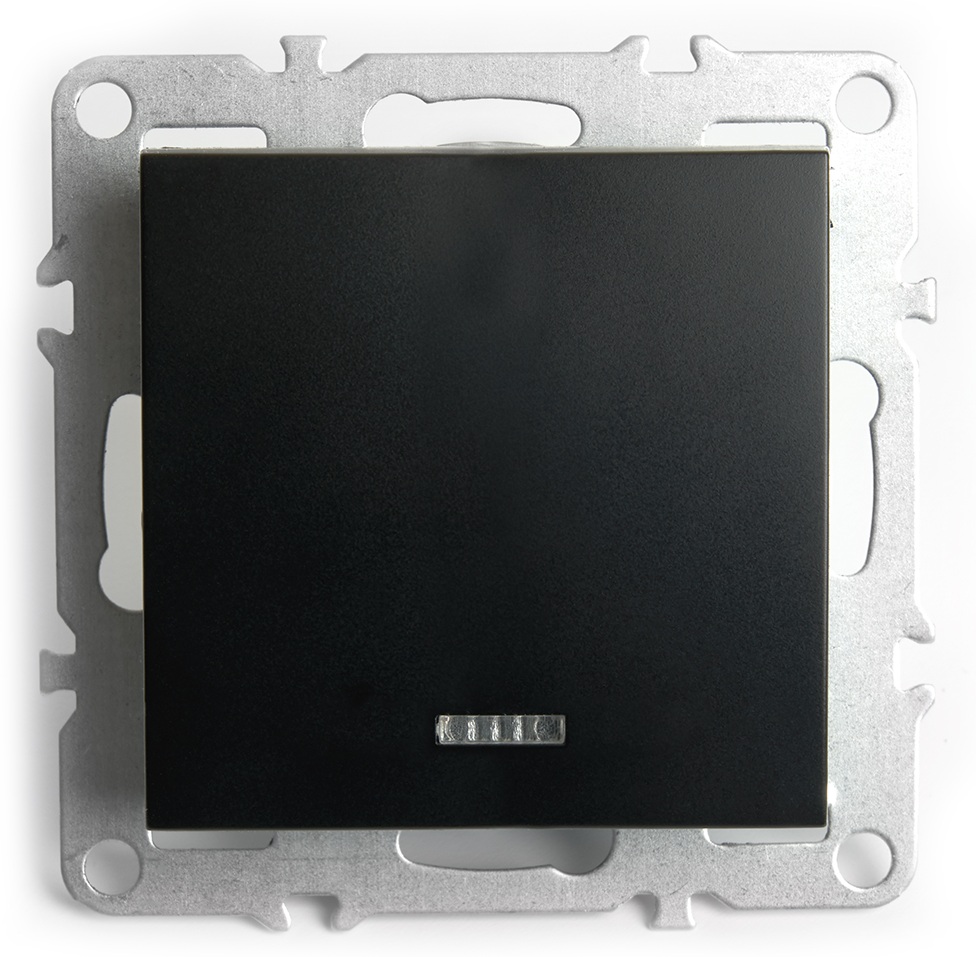 Stekker Выключатель Эрна 49146 