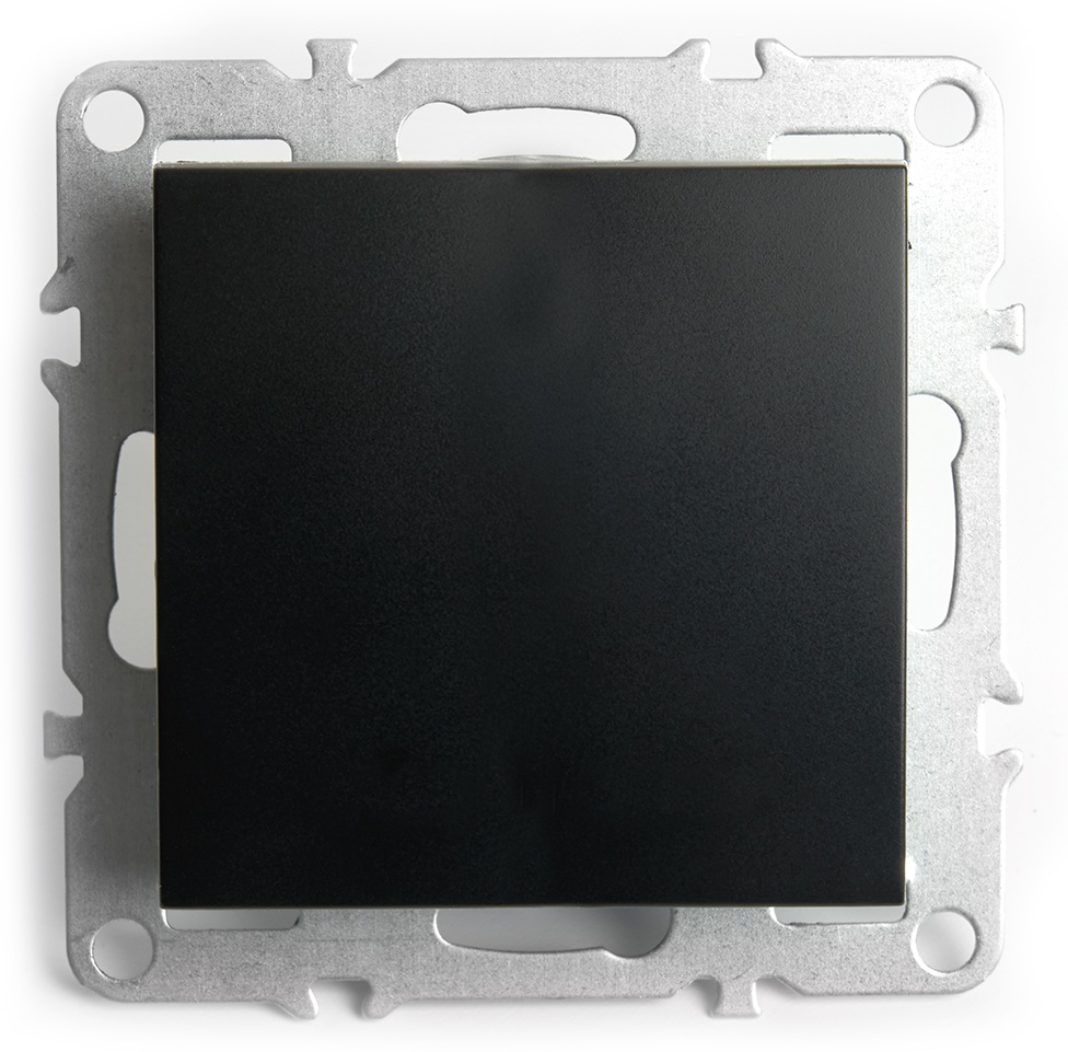 Stekker Выключатель Эрна 49148 