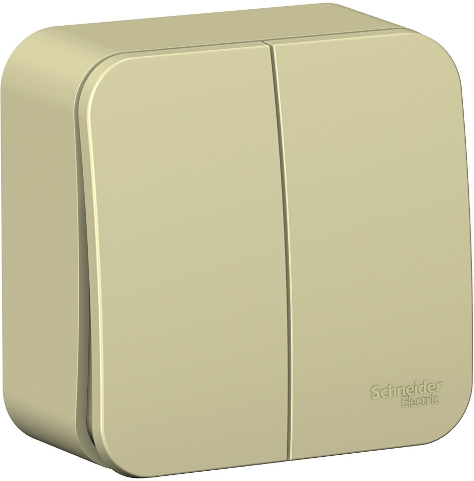 Systeme Electric Выключатель Blanca BLNVA105017 