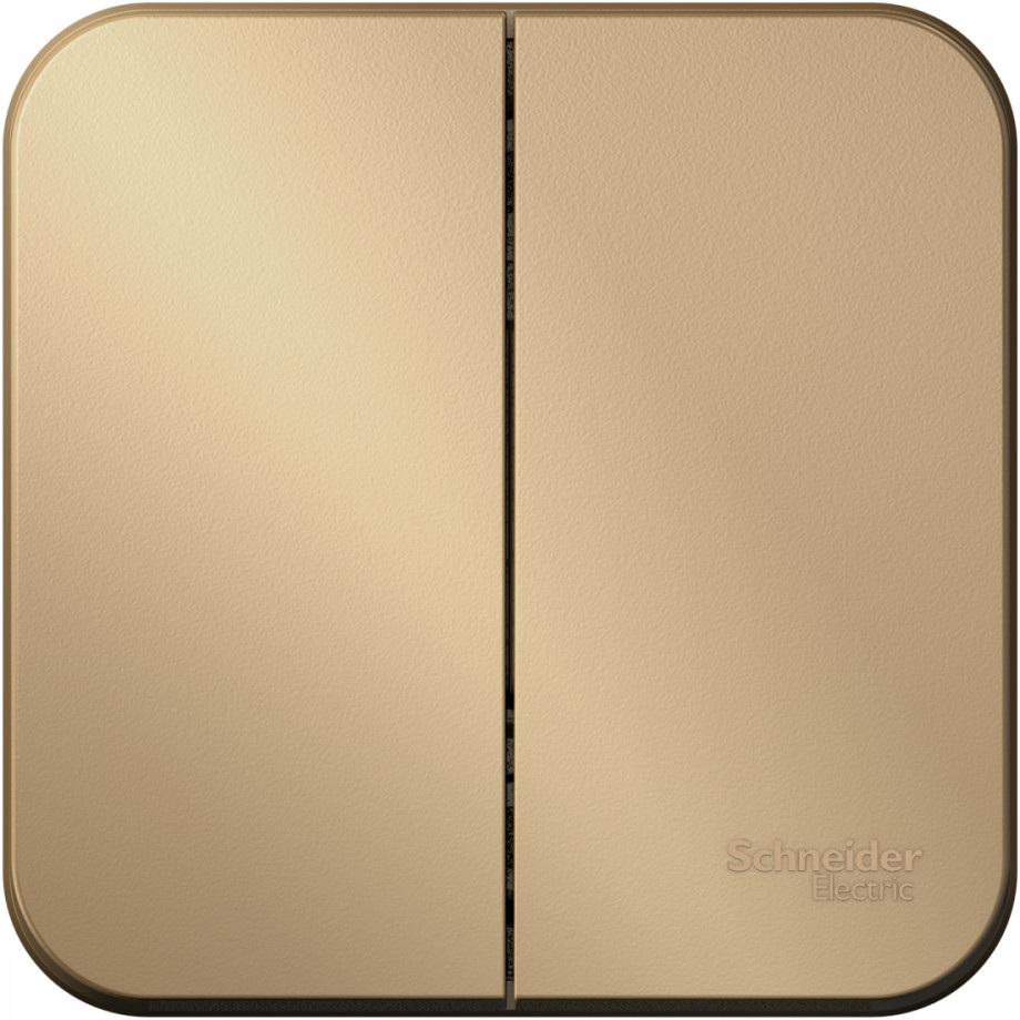 Systeme Electric Выключатель Blanca BLNVA105014 