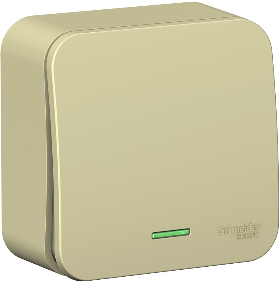 Systeme Electric Выключатель Blanca BLNVA106117 