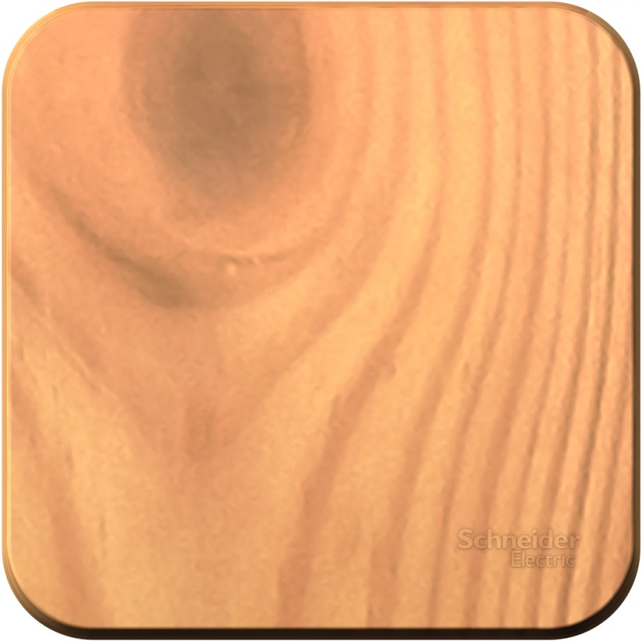 Systeme Electric Выключатель Blanca BLNVA101005 