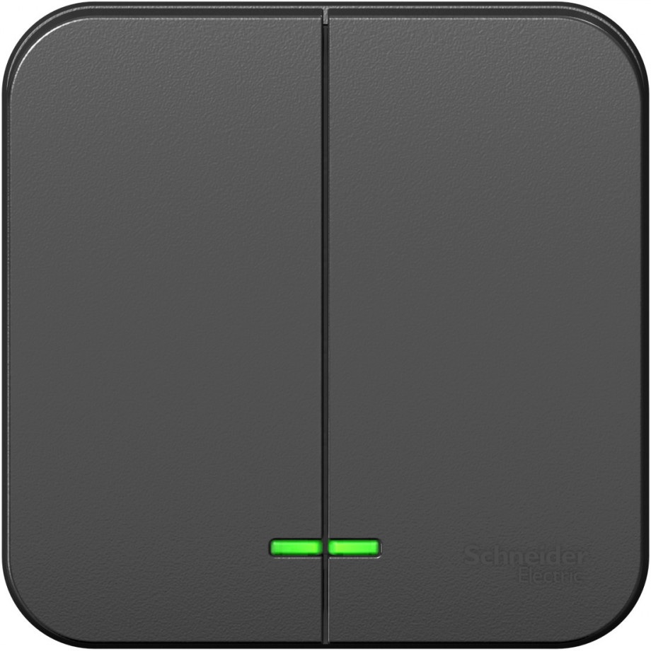 Systeme Electric Выключатель Blanca BLNVA105116 