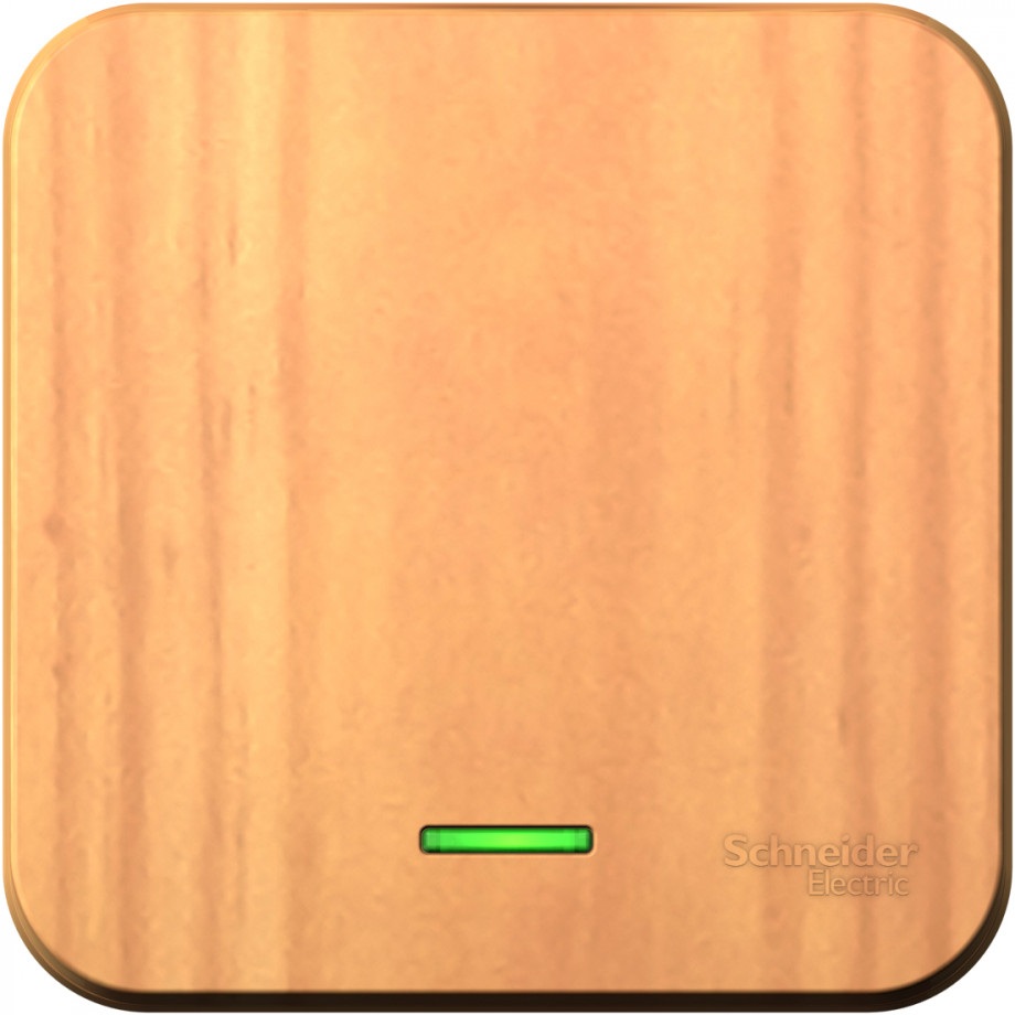 Systeme Electric Выключатель Blanca BLNVA101105 