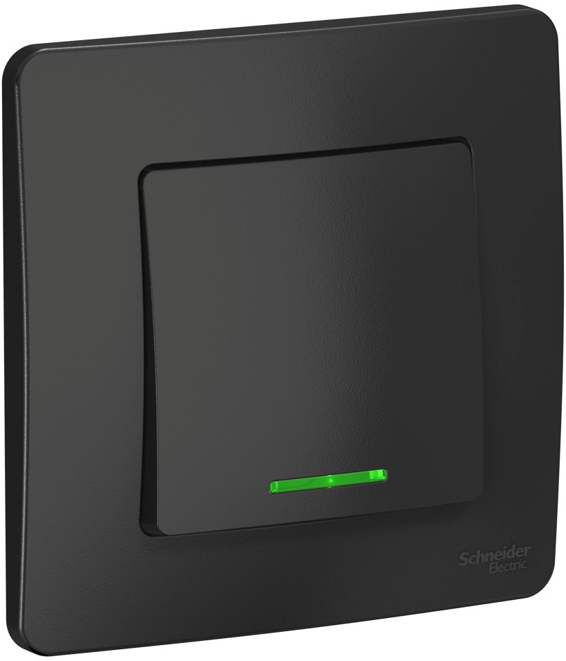 Systeme Electric Выключатель Blanca BLNVS010116 