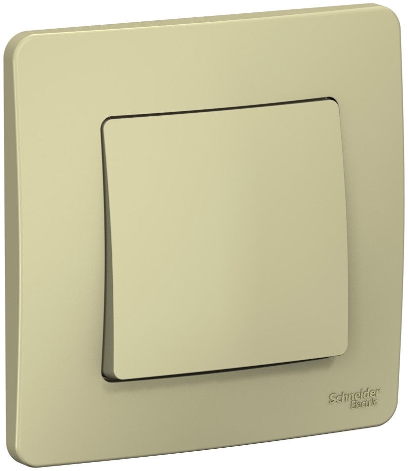 Systeme Electric Выключатель Blanca BLNVS010107 