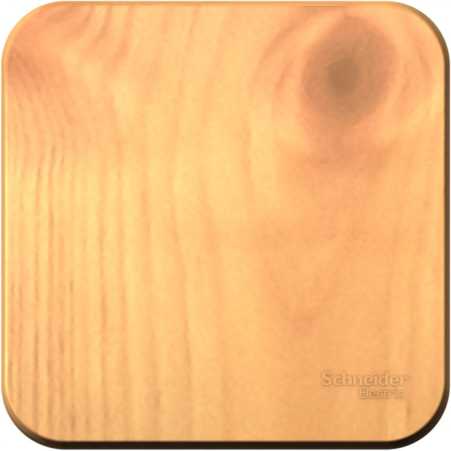 Systeme Electric Выключатель Blanca BLNVA101015 