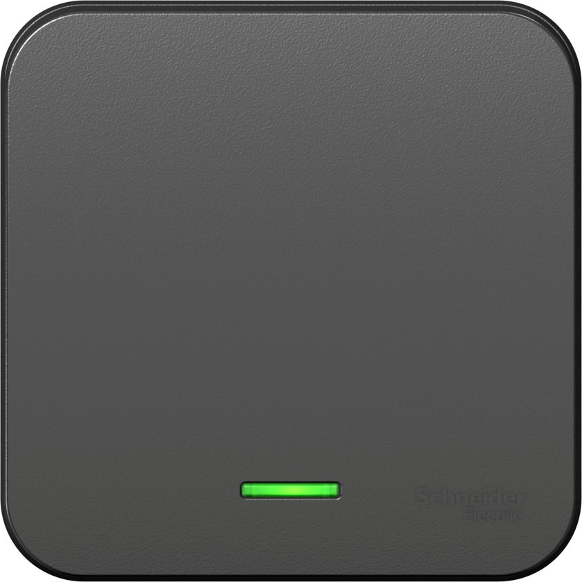 Systeme Electric Выключатель Blanca BLNVA101116 