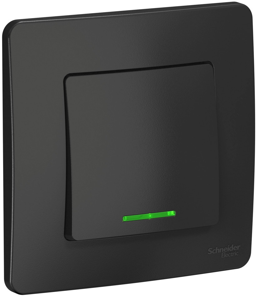 Systeme Electric Выключатель Blanca BLNVS010616 