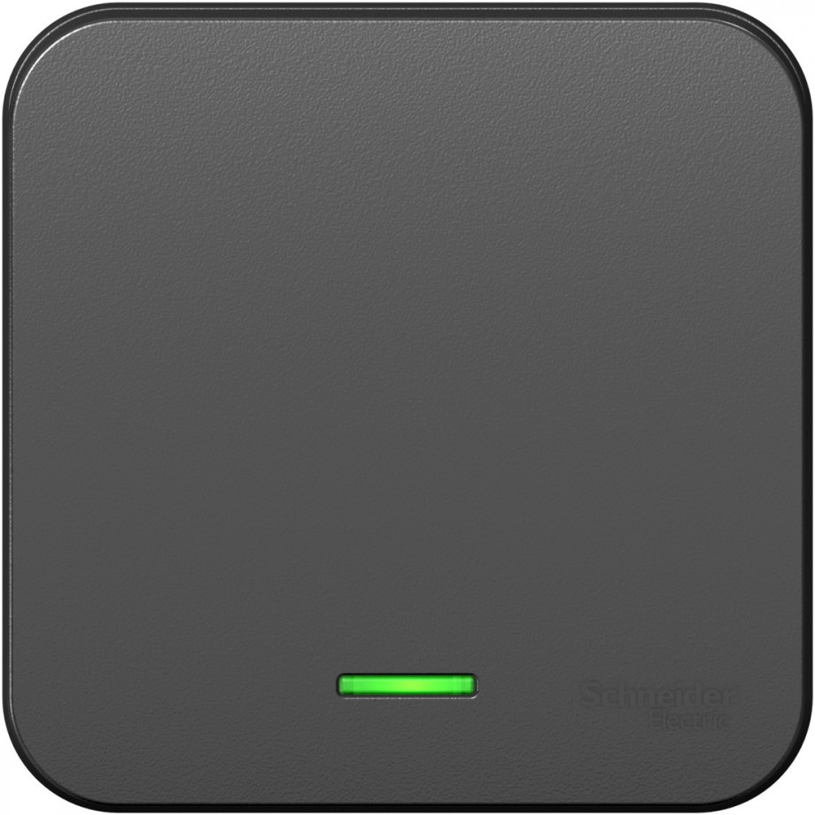 Systeme Electric Выключатель Blanca BLNVA106116 