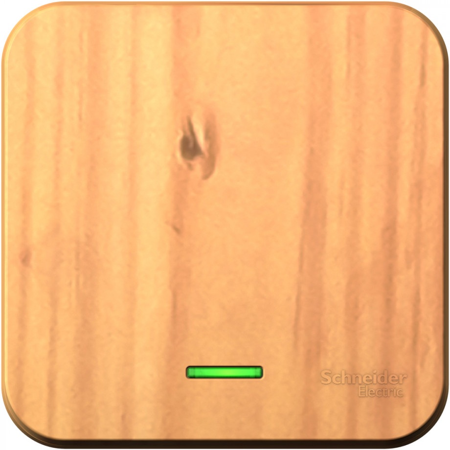 Systeme Electric Выключатель Blanca BLNVA101115 