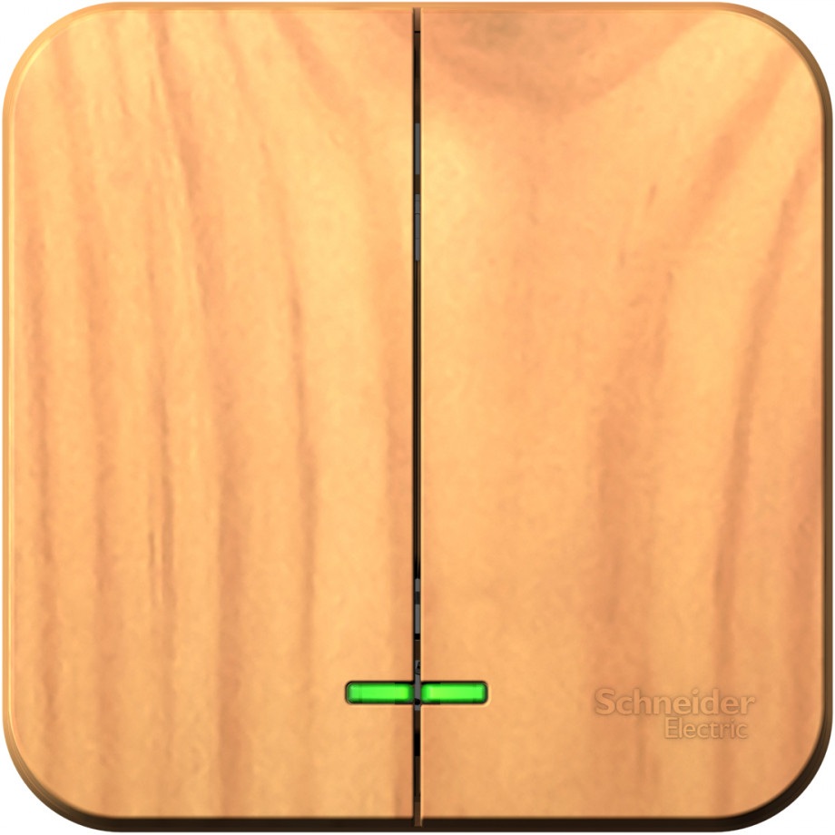 Systeme Electric Выключатель Blanca BLNVA105115 