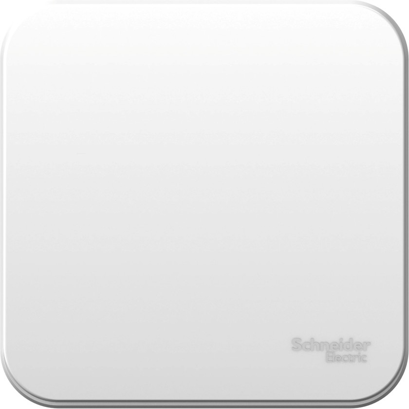 Systeme Electric Выключатель Blanca BLNVA101011 