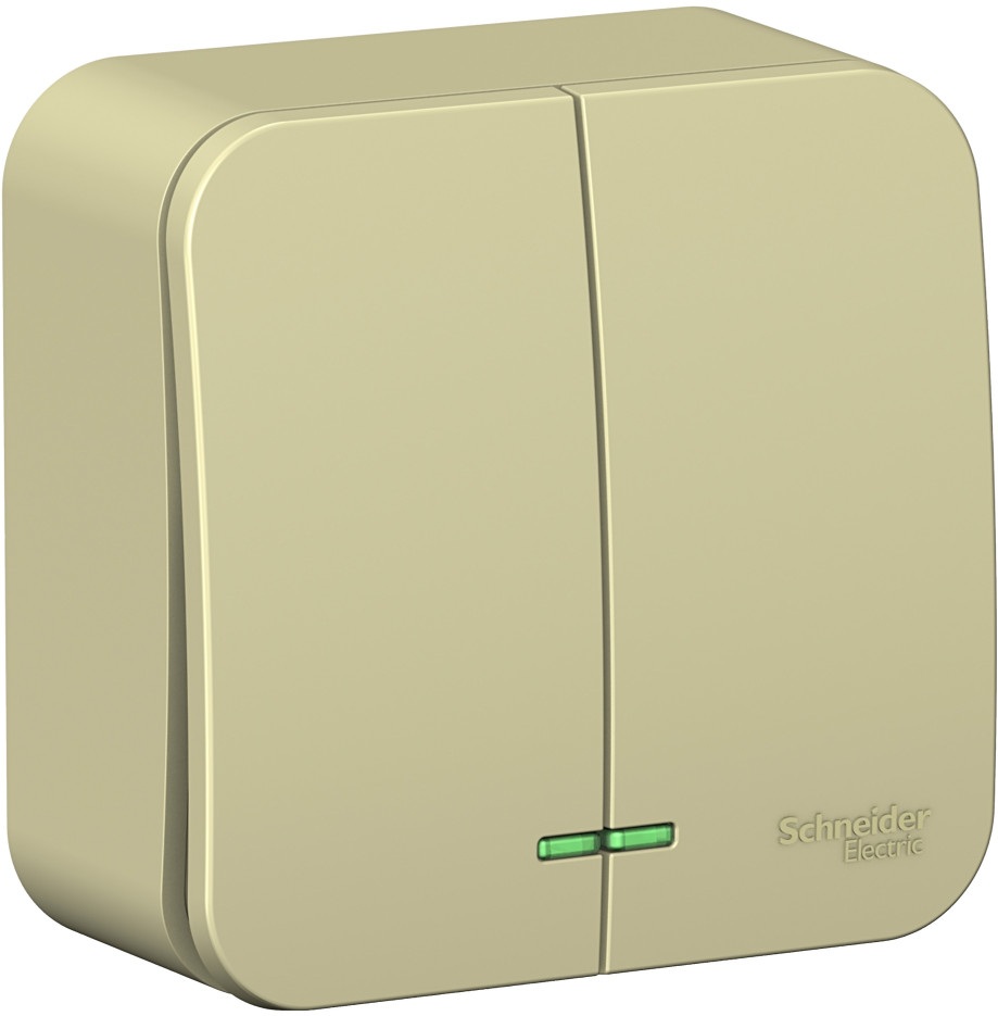 Systeme Electric Выключатель Blanca BLNVA105117 