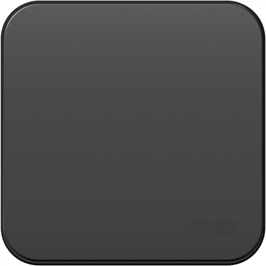 Systeme Electric Выключатель Blanca BLNCA101016 