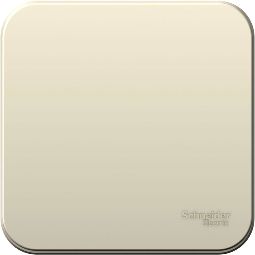 Systeme Electric Выключатель Blanca BLNVA101012 