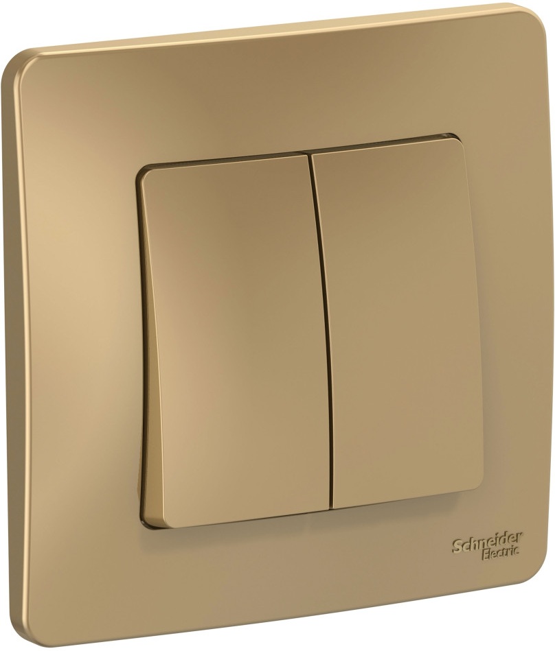 Systeme Electric Выключатель Blanca BLNVS010504 