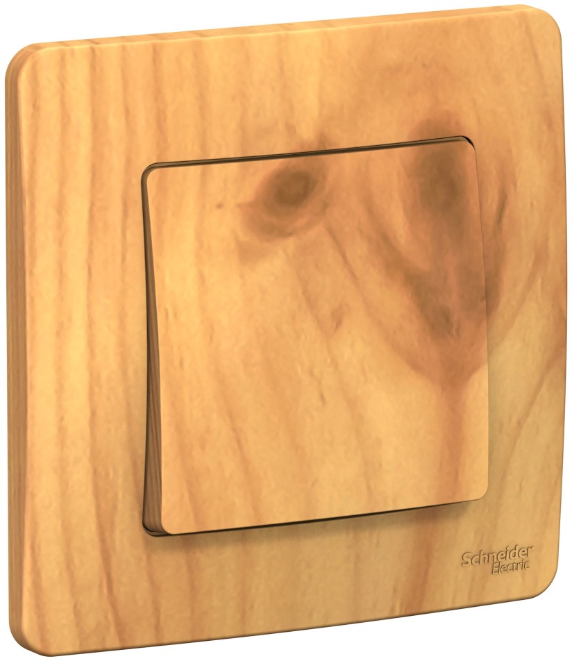 Systeme Electric Выключатель Blanca BLNVS010605 