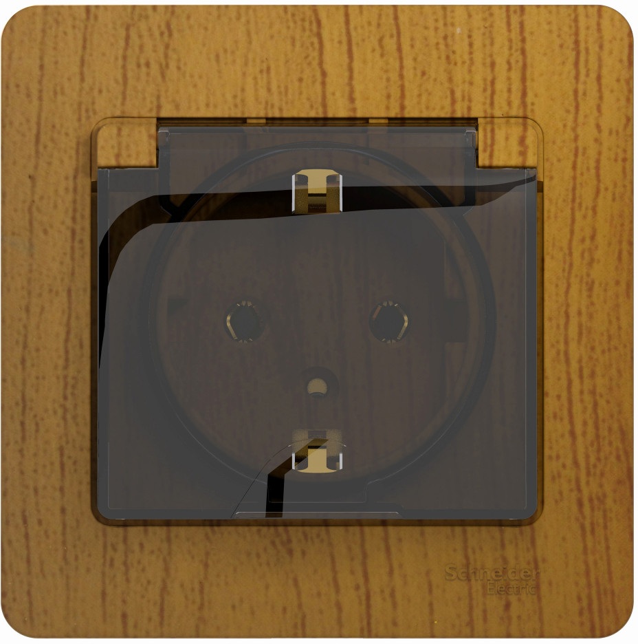 Systeme Electric Розетка Glossa GSL000546 