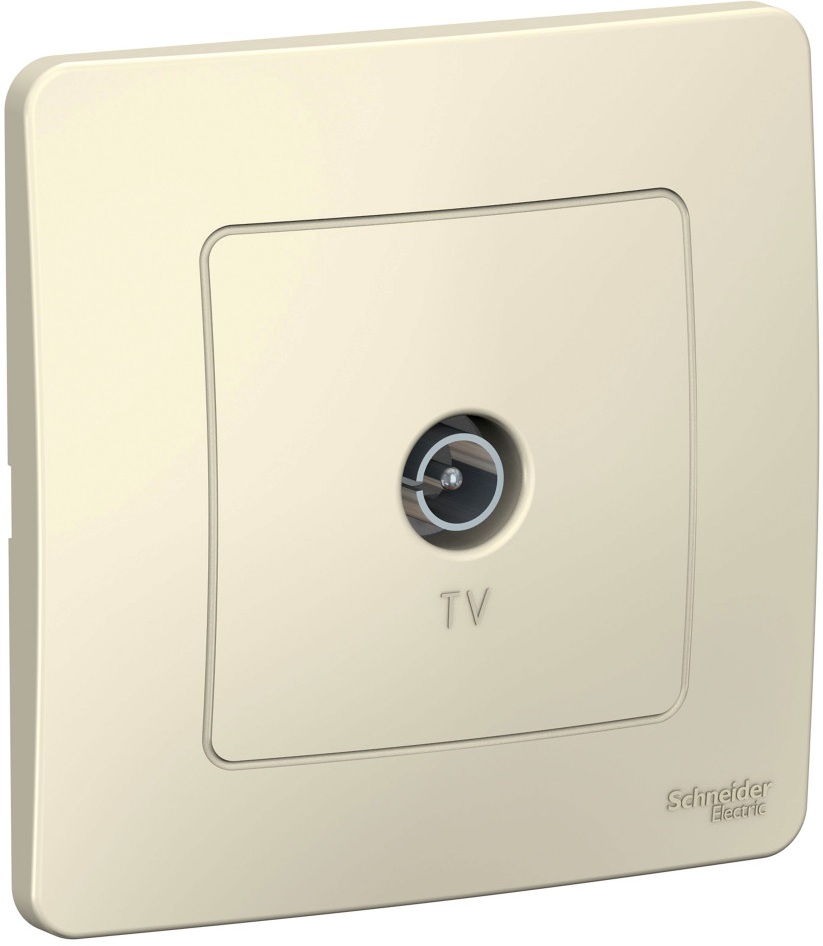 Systeme Electric Розетка Blanca BLNTS000012 