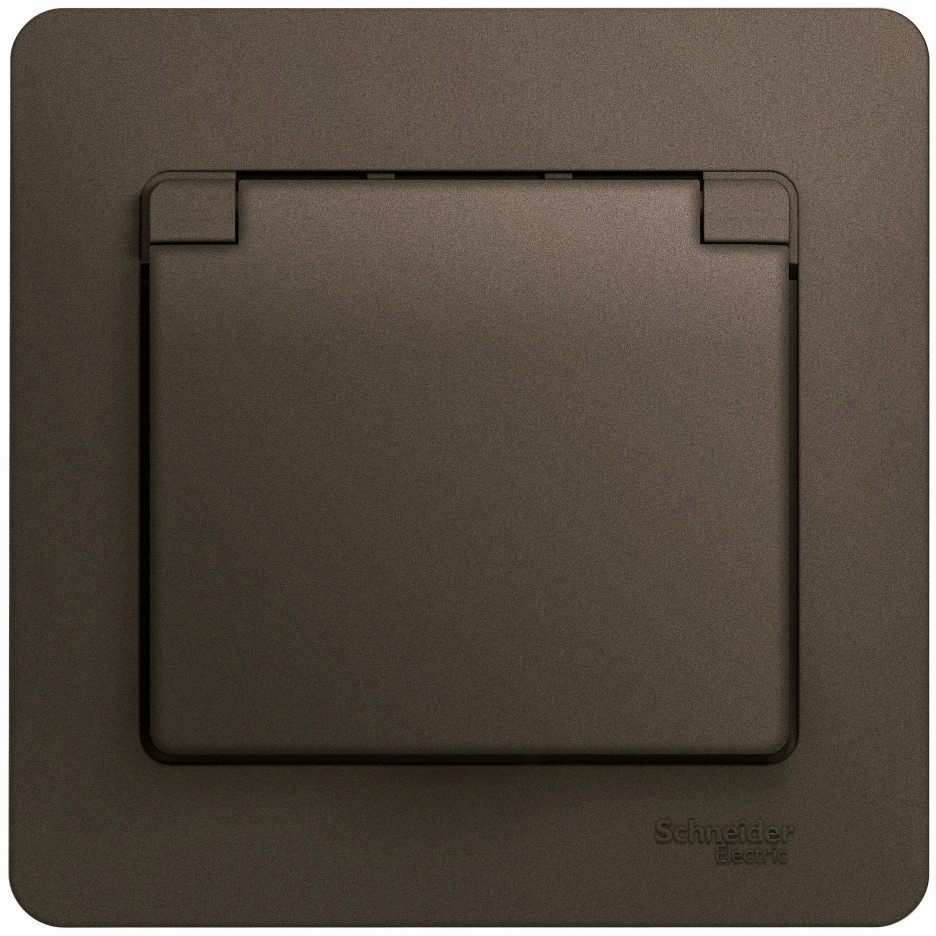 Systeme Electric Розетка Glossa GSL000846 