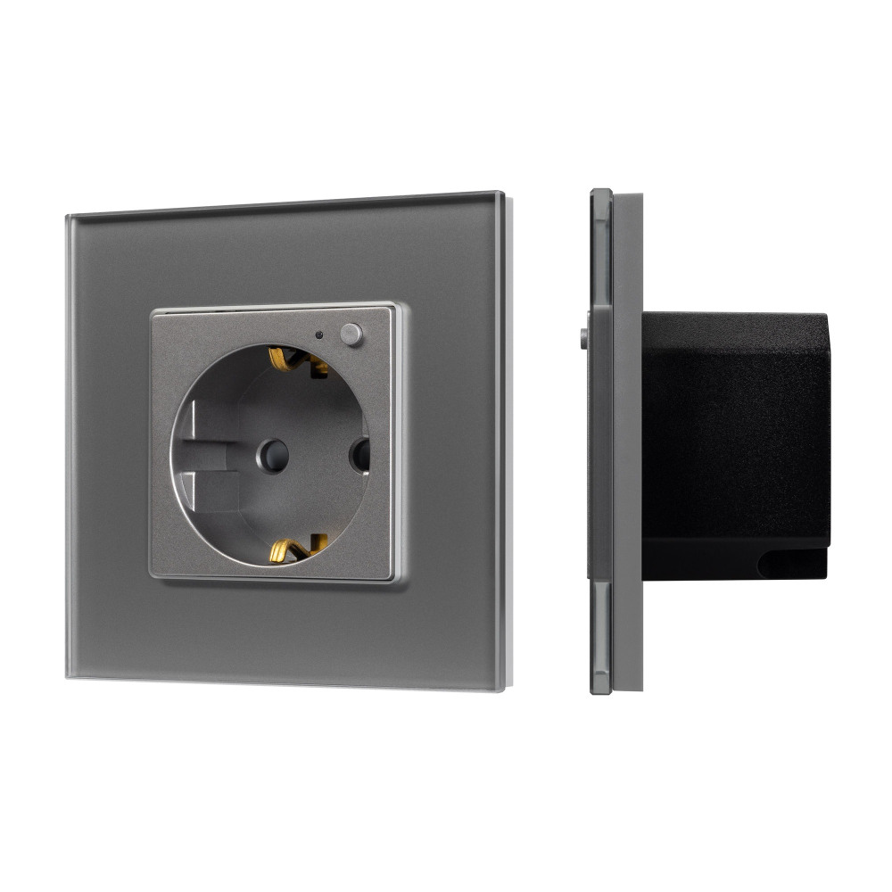 Arlight Розетка OMALI 050101 