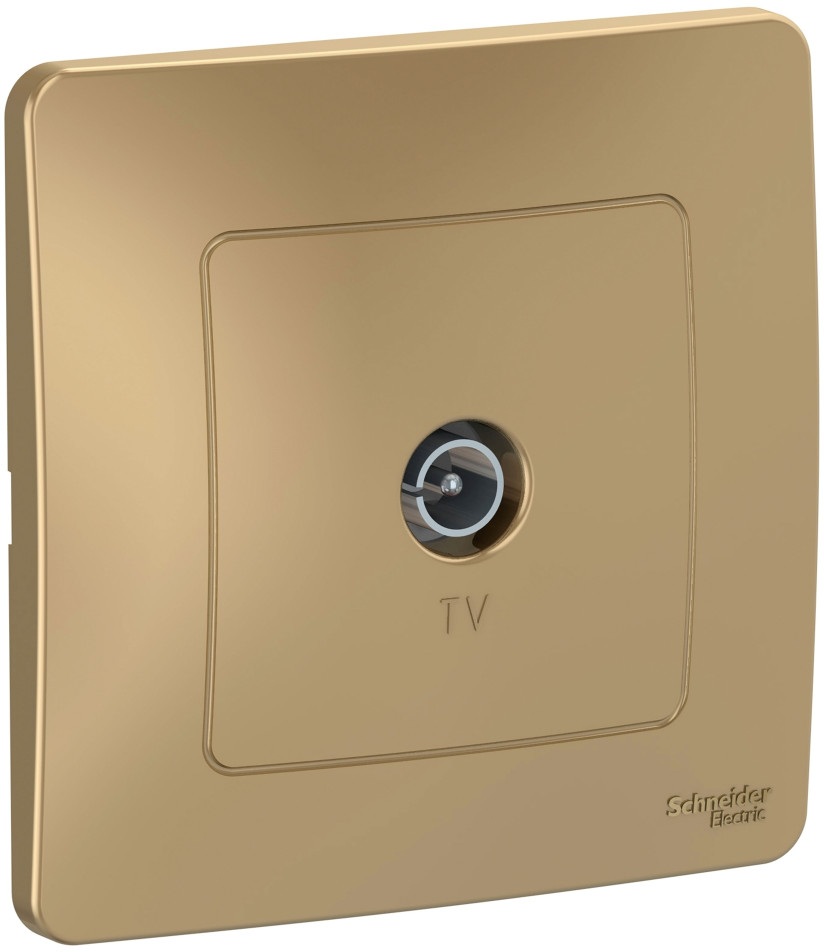 Systeme Electric Розетка Blanca BLNTS000014 