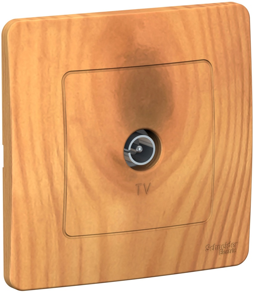 Systeme Electric Розетка Blanca BLNTS000015 