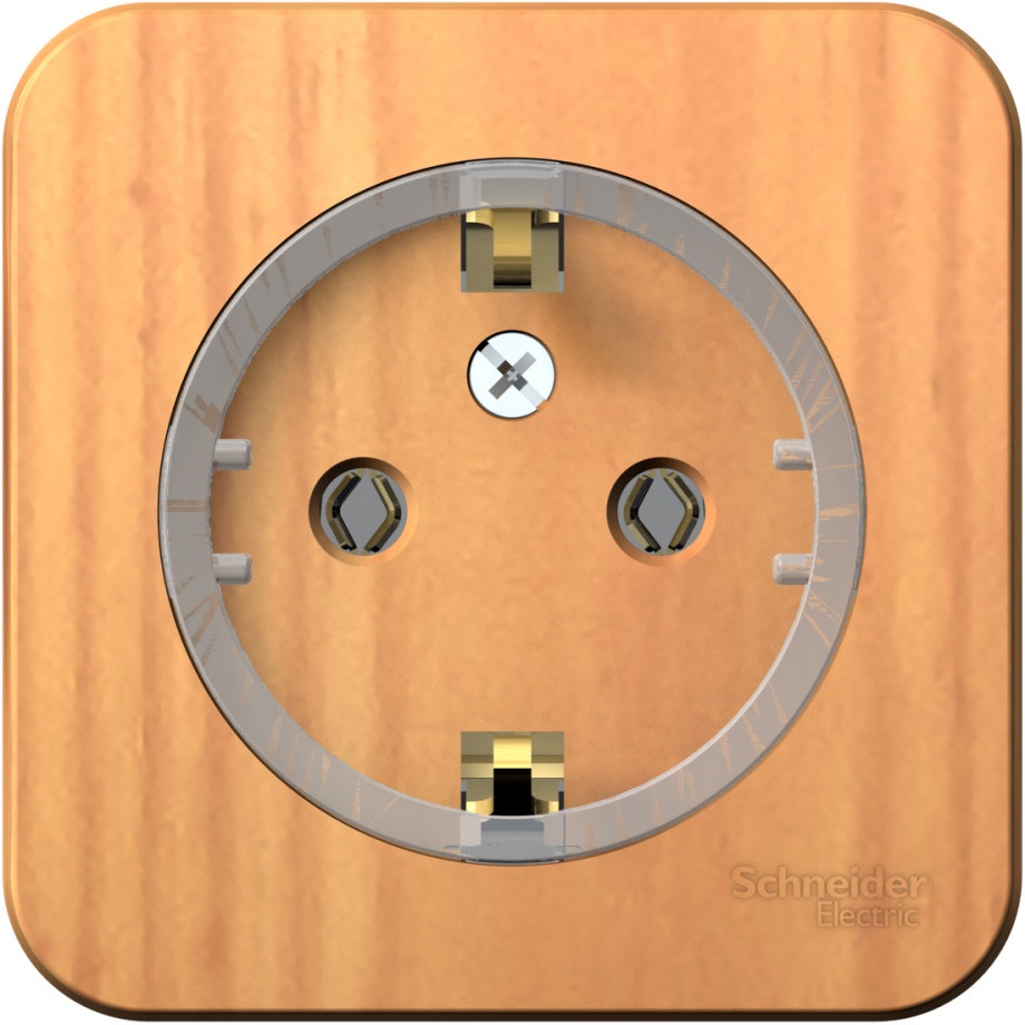 Systeme Electric Розетка Blanca BLNRA110115 