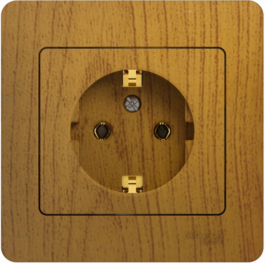 Systeme Electric Розетка Glossa GSL000542 