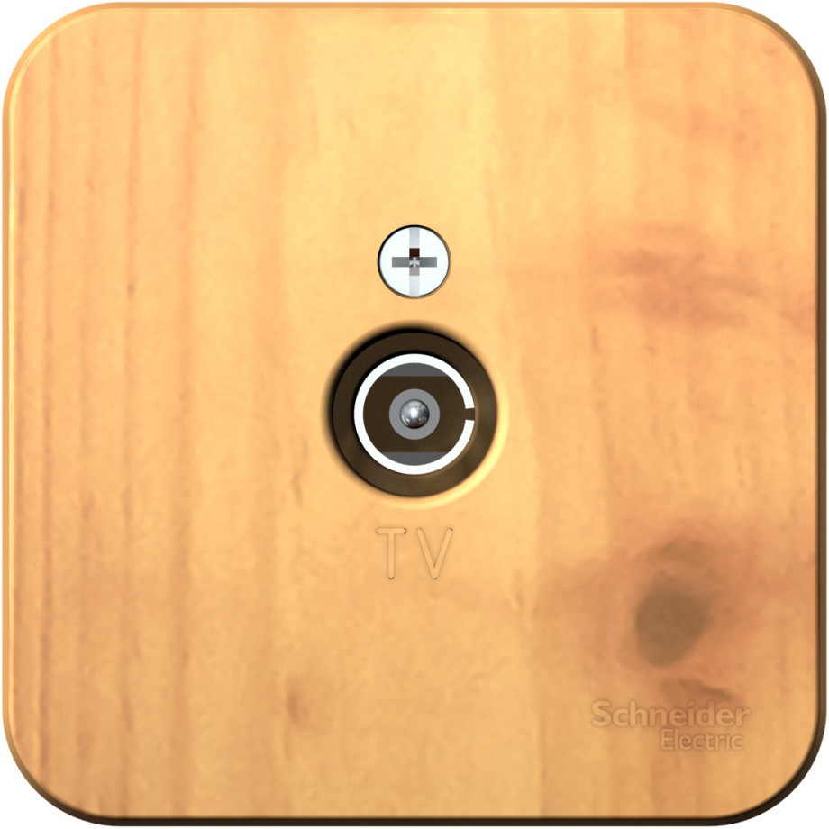 Systeme Electric Розетка Blanca BLNTA000015 