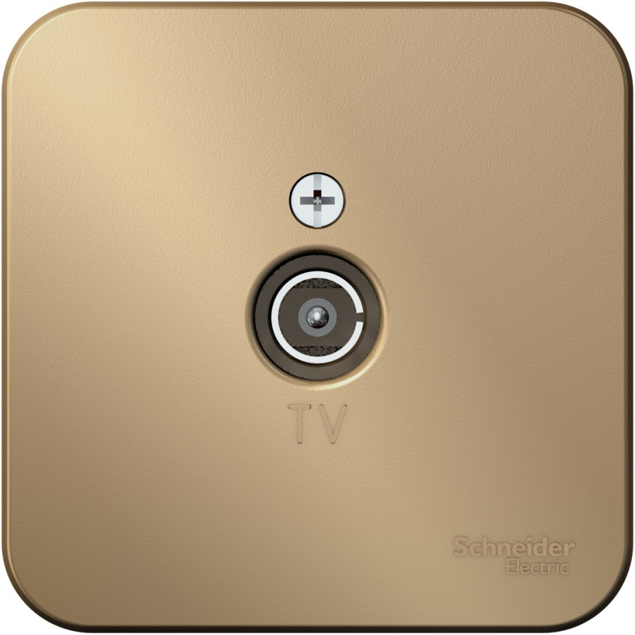 Systeme Electric Розетка Blanca BLNTA000014 