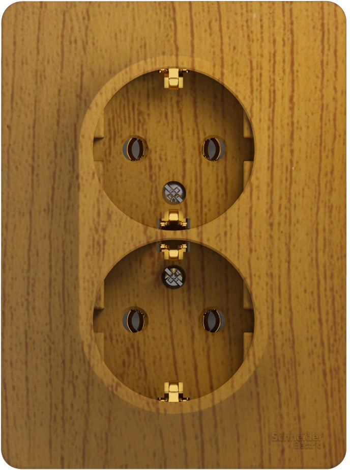 Systeme Electric Розетка Glossa GSL000524 