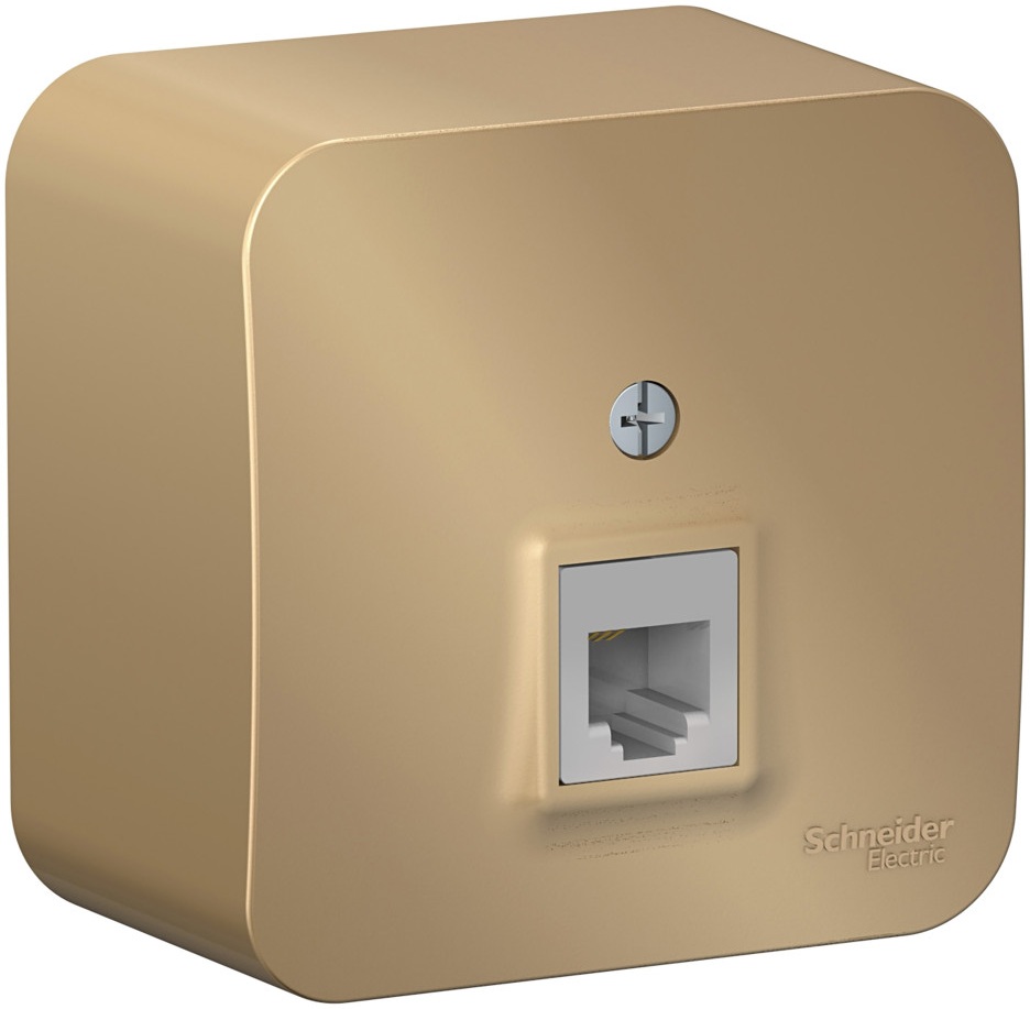 Systeme Electric Розетка Blanca BLNIA011004 