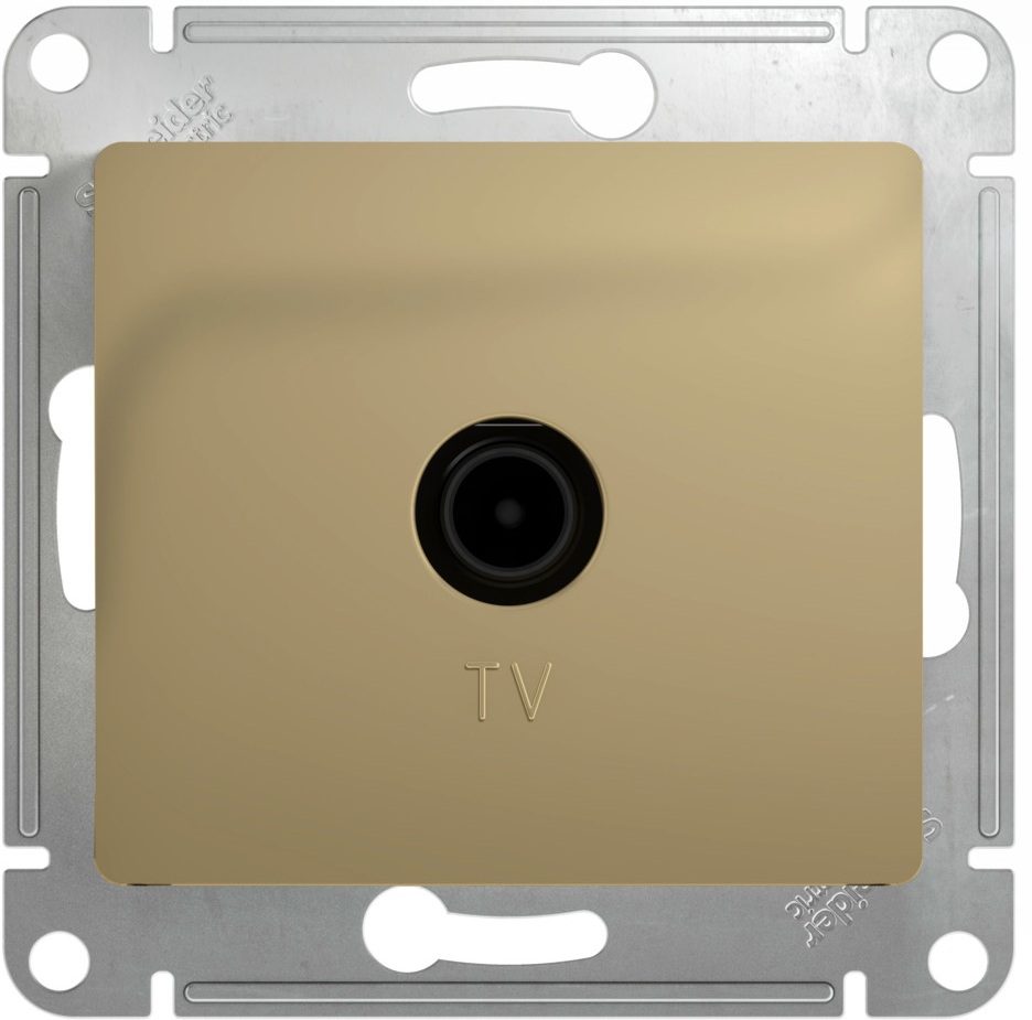 Systeme Electric Розетка Glossa GSL000491 