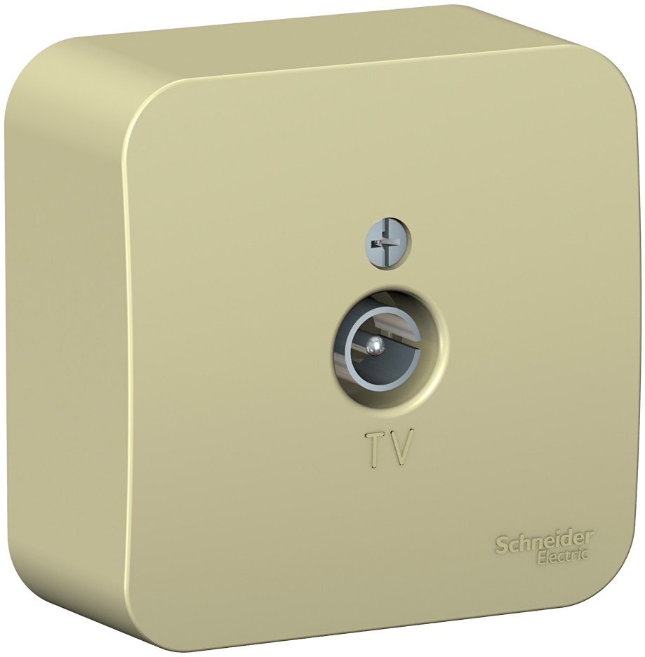 Systeme Electric Розетка Blanca BLNTA000017 