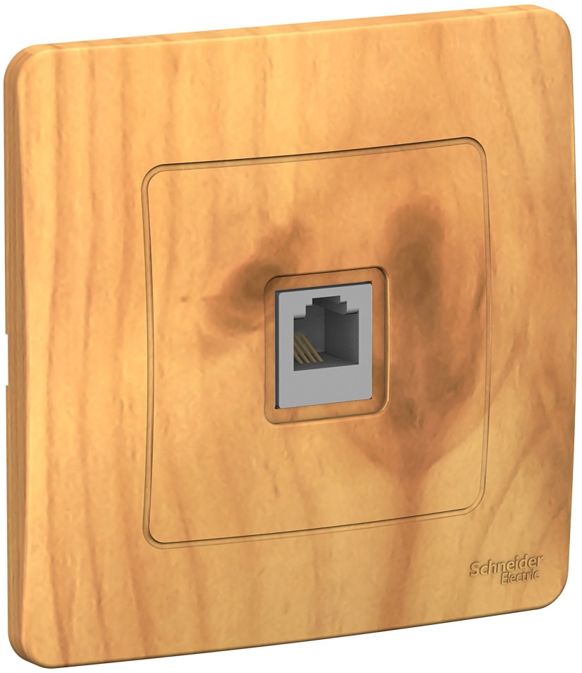 Systeme Electric Розетка Blanca BLNIS011005 