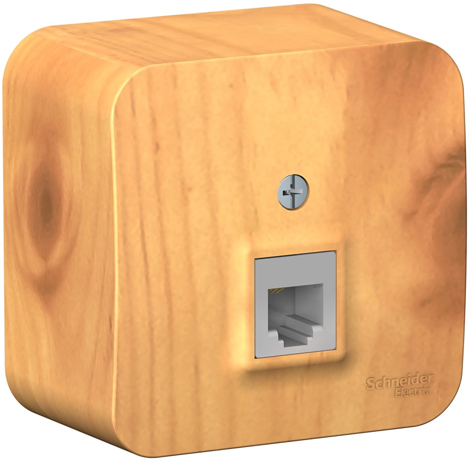 Systeme Electric Розетка Blanca BLNIA011005 